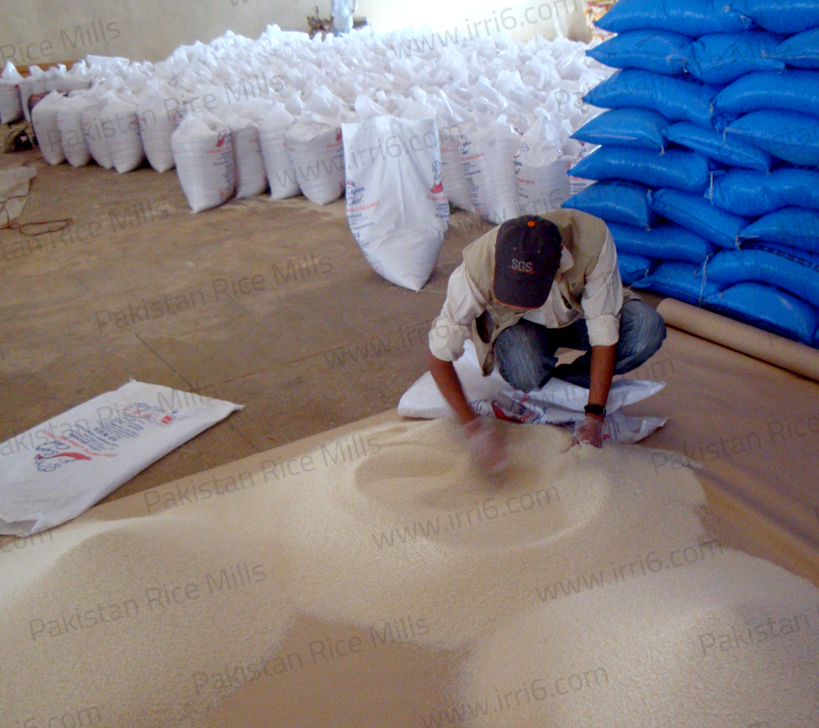 Pakistan rice inspection, irri6 rice inspection, pakistan long grain irri6 rice inspection.